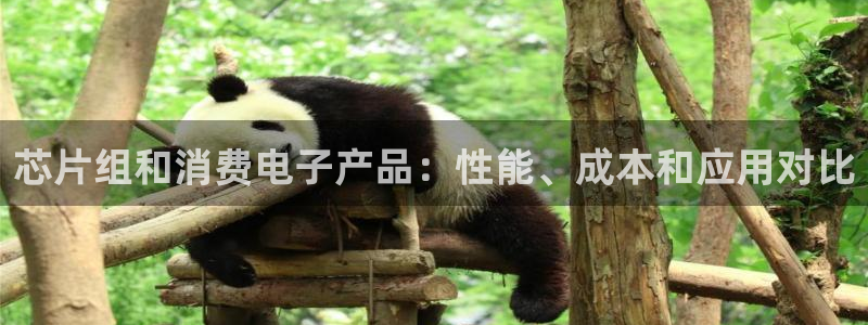 k8凯发是做什么的|芯片组和消费电子产品:性能、成本和应用对比