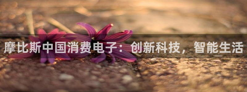 凯发国际网站官网|摩比斯中国消费电子:创新科技,智能生活