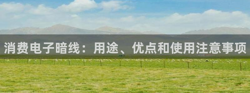 K8凯发·体育(中国)天生赢家|消费电子暗线:用途、优点和使用注意事项
