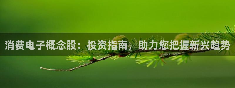 凯发官网入口首页|消费电子概念股:投资指南,助力您把握新兴趋势