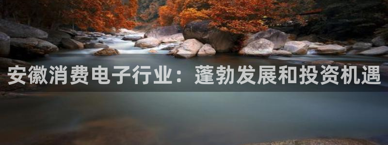凯发ag旗舰厅网站下载|安徽消费电子行业:蓬勃发展和投资机遇