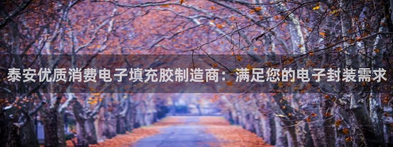 k8凯发是做什么的|泰安优质消费电子填充胶制造商:满足您的电子封装需求