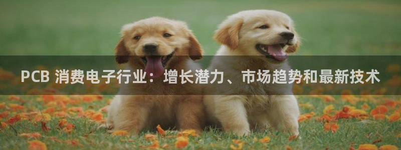 凯发K8天生赢家一触即发官网|PCB 消费电子行业:增长潜力、市场趋势和最新技术