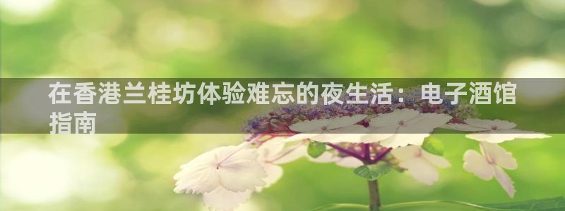 凯发k8国际手机网页|在香港兰桂坊体验难忘的夜生活:电子酒馆
指南