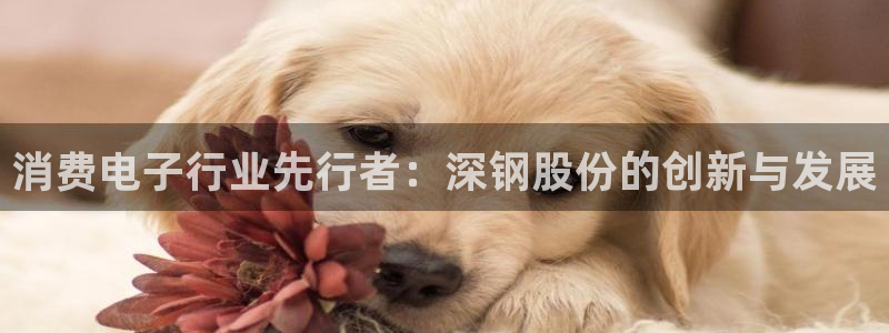 凯发k8国际首页登录|消费电子行业先行者:深钢股份的创新与发展