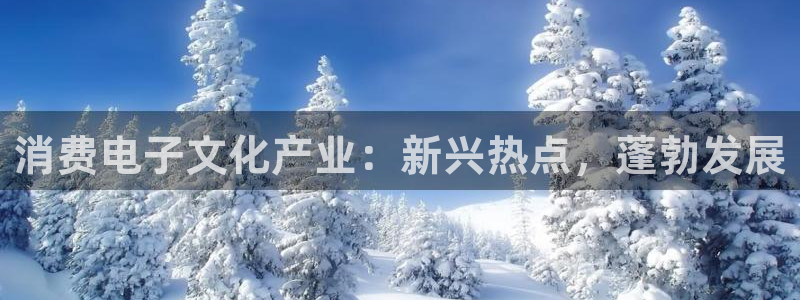 k8凯发版官网|消费电子文化产业:新兴热点,蓬勃发展