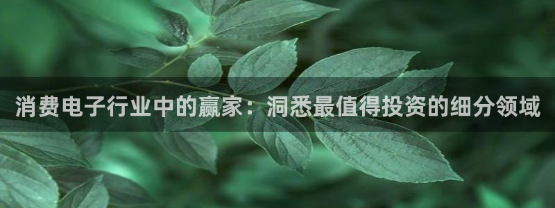 k8凯发是做什么的|消费电子行业中的赢家:洞悉最值得投资的细分领域